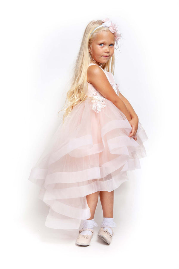Alina Pink Dress
